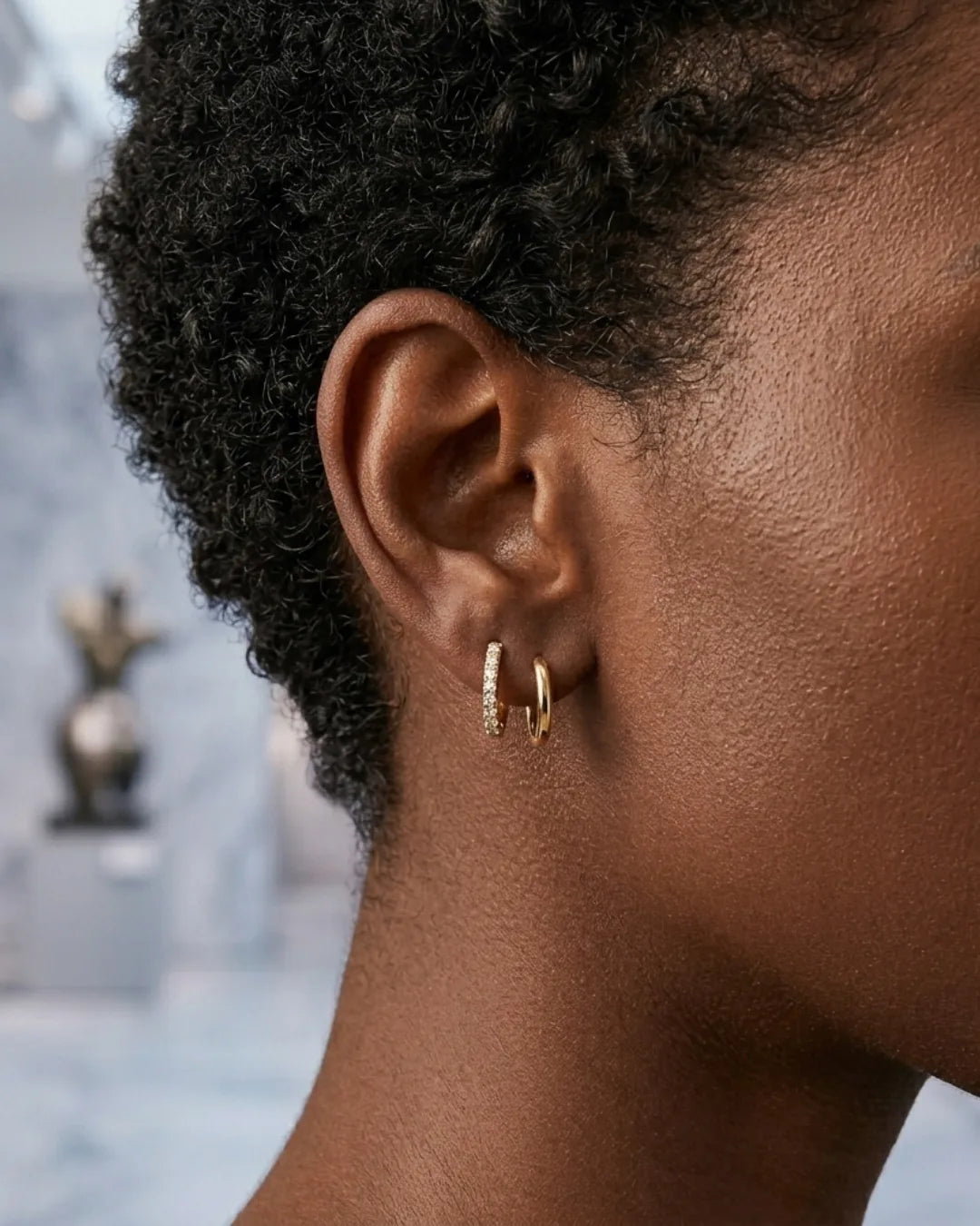 Lucia Double Hoop Earrings Sleek